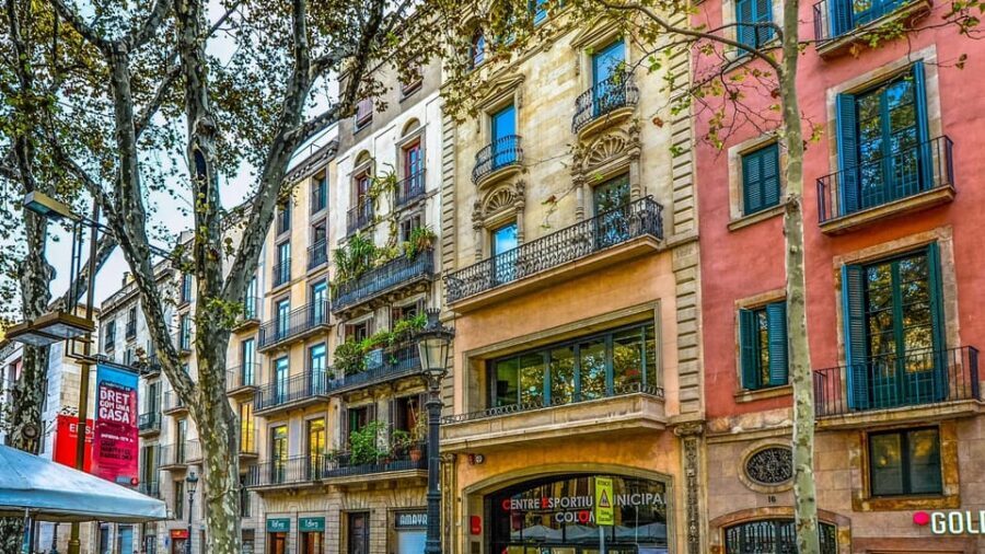 Best of Barcelona: Private Walking Tour with a Local - Mercat de Sant Antoni and the local-food mindset