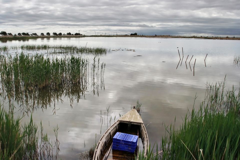 Birdwatching in the Ebro Delta - Riding With Your Own Car: Logistics That Matter (and How to Prep)