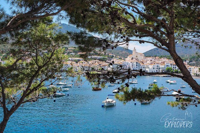Cadaqués & Dalí House-Museum day trip from Girona (tickets included) - Salvador Dalí House-Museum: your guided 1-hour visit