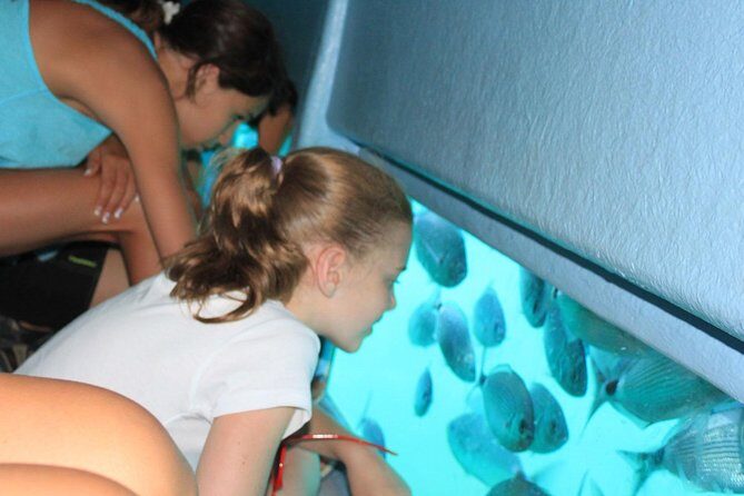 Cala Murtra: Immerse yourself in the beauty of an underwater world - Underwater Viewing Windows: What You Actually Get (and Why Timing Matters)