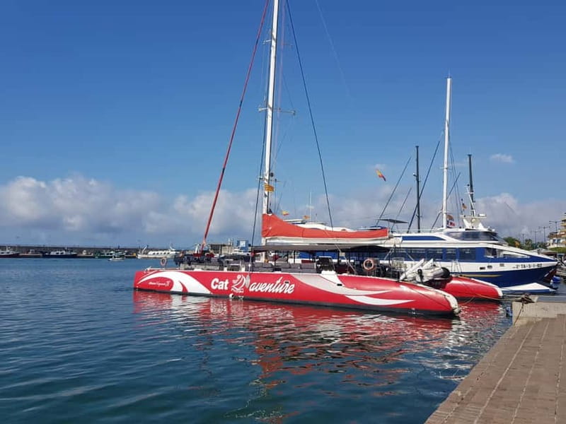 Cambrils/Salou: Coastline Catamaran 2h with drinks, pickup - Getting to the boat: pickup that keeps your day simple