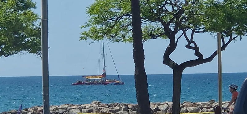 Cambrils/Salou: Coastline Catamaran 2h with drinks, pickup - Sail time vs anchored time: why the plan says if possible