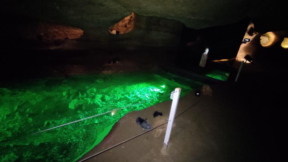 Caves prehistory of Esplugues Francolí with hotel pickup - Price and Value: What You Pay for and Why It’s Fair