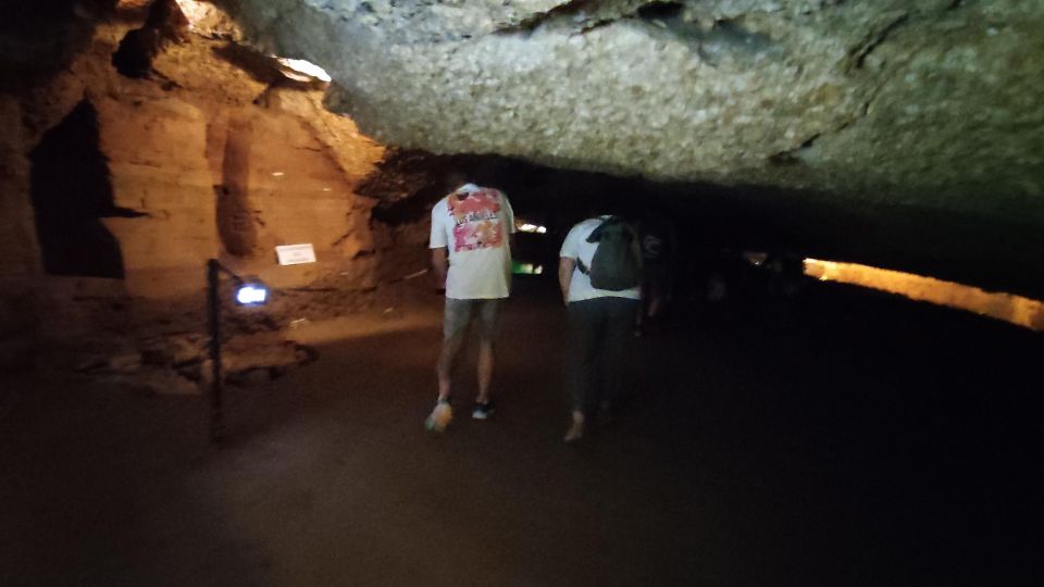 Caves prehistory of Esplugues Francolí with hotel pickup - Should You Book This Caves of Esplugues Francolí Tour?