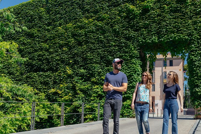 City Explorer: Girona Private Day Trip - Optional Stops and the Guide’s Route-Choosing Power