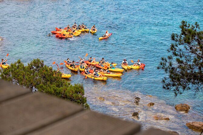 Costa Brava Guided Kayak and Snorkeling Excursion in Playa de Aro - Key points before you go