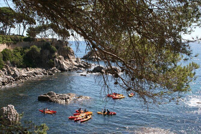 Costa Brava Guided Kayak and Snorkeling Excursion in Playa de Aro - Getting Oriented in Playa de Aro: where you meet and what happens first