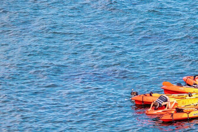 Costa Brava Guided Kayak and Snorkeling Excursion in Playa de Aro - The beach bar stop: optional comfort halfway along the route