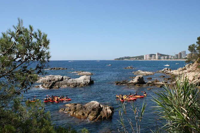 Costa Brava Guided Kayak and Snorkeling Excursion in Playa de Aro - Price and value: what $35.95 really buys you