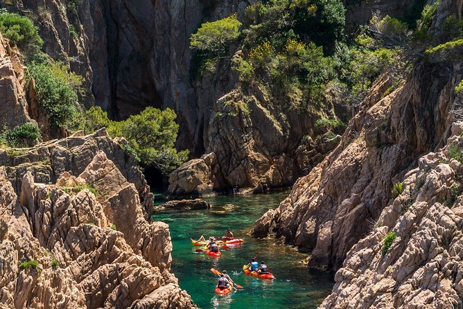 Costa Brava Kayaking and Snorkeling Small Group Tour with Lunch - Who should book this Costa Brava kayaking and snorkeling day