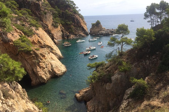 Costa Brava Scenic Hike & Tossa de Mar Small Group Tour - Cala Pola and Cala Bona: The Coves That Turn a Hike Into a Swim Day