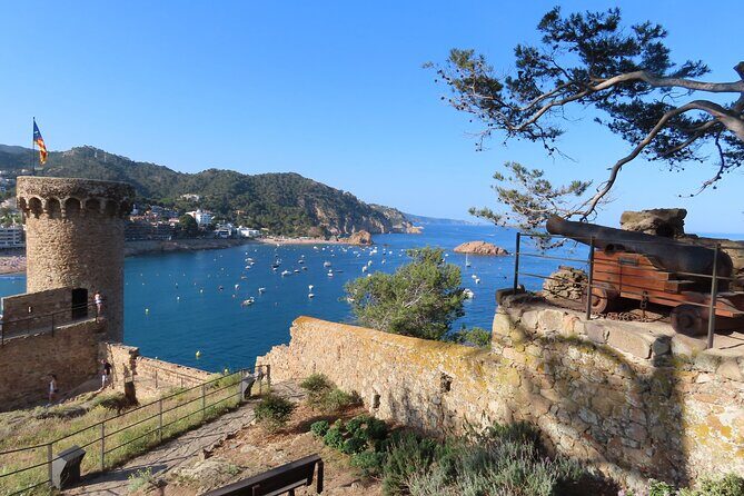 Costa Brava: Scuba Diving Tour, Lunch and a Visit to Tossa de Mar - Lunch at a local beachside restaurant: included, menu-style, and easy to enjoy