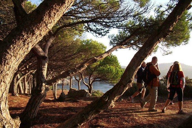 Costa Brava Small Group Hiking Tour from Barcelona - Picnic Lunch by the Sea and the Surprise Factor