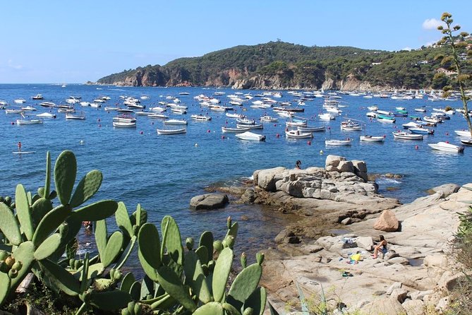 Costa Brava Typical Towns Full Day Tour from Barcelona - Llafranc Lunch Time and Swim Options