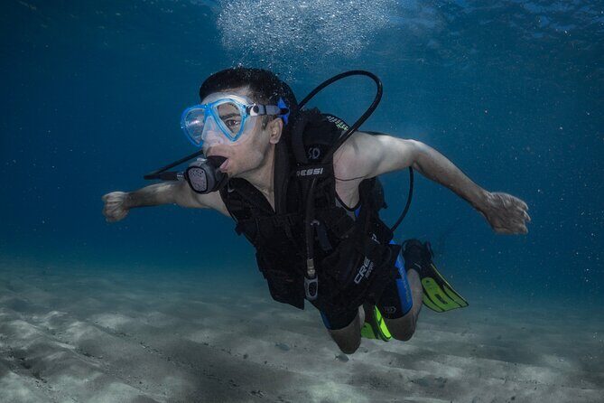Discover PADI Diving in Barcelona - Key highlights worth planning for
