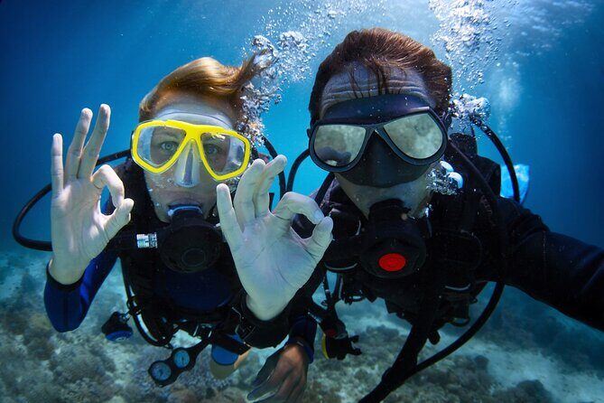 Discover PADI Diving in Barcelona - The 1st Hour: Gear, Signals, and a Safety-First Mindset