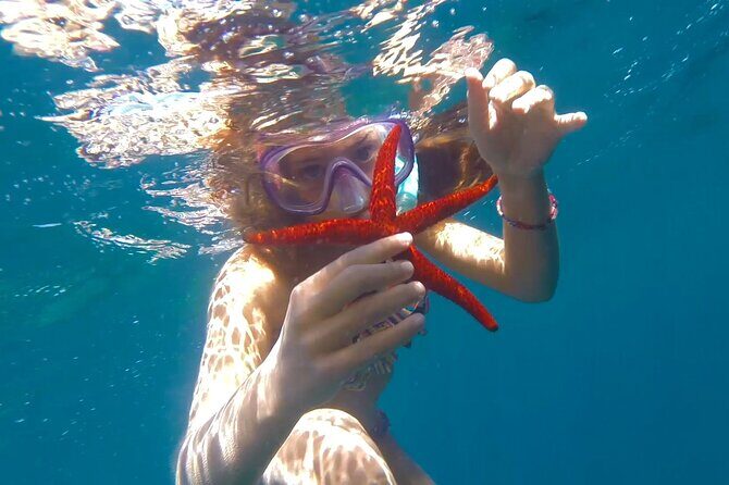 Discover secrets of the sea swimming cave and underwater vision - Should You Book This Sea-Cave Swim Experience?