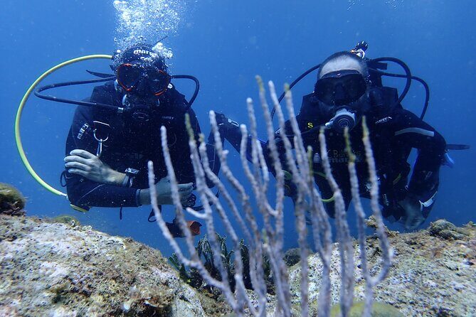 Diving baptism in the Montgrí Natural Park - Scuba Gear Included: What That Means for Your Travel Plan