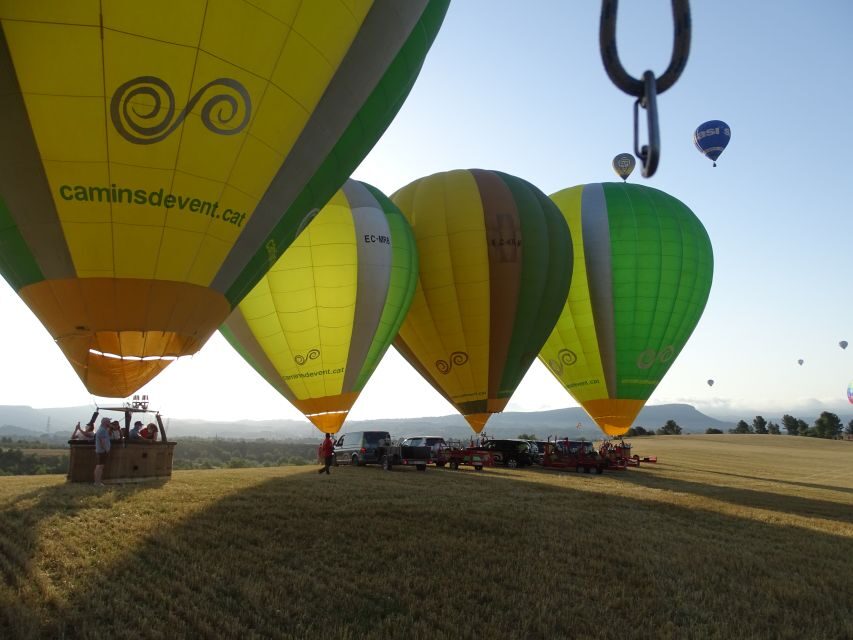 European Balloon Festival: Hot Air Balloon Ride - The one-hour flight: being in the festival sky, not just seeing it