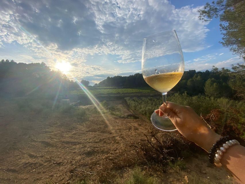 Exclusive Penedes wine tour & brunch in the vineyard - The 4x4 ride: seeing the Penedes vineyards up close (without the long commute)