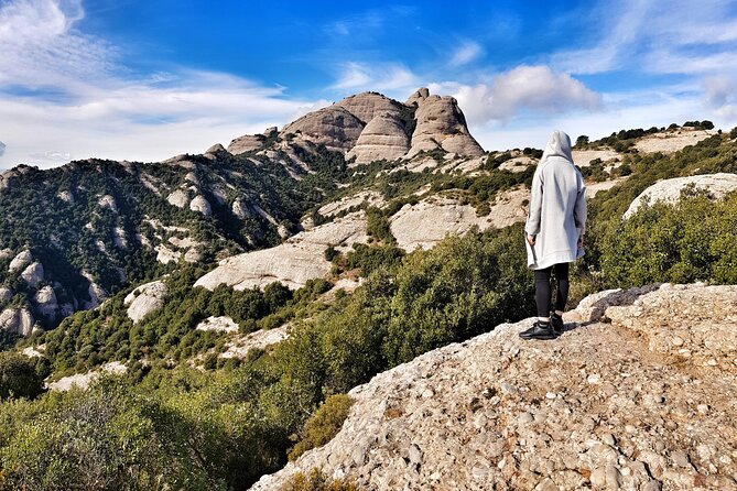 Experience Montserrat: Private Tour for Families and Friends - Abadia de Montserrat: Basilica, Black Madonna, and museum time