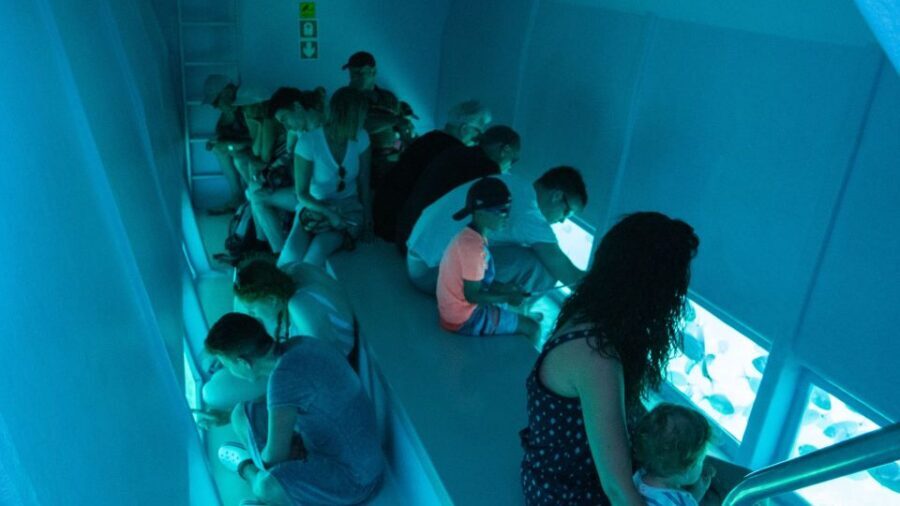 Explore the Medes Islands & Discover the Magic of Estartit! - Price and value: is $53 for 5 hours fair?