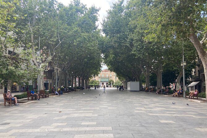 Figueres Walking Tour with Guided Visit to the Dalí Museum - Museum basics for first-timers: a framework for surrealist art