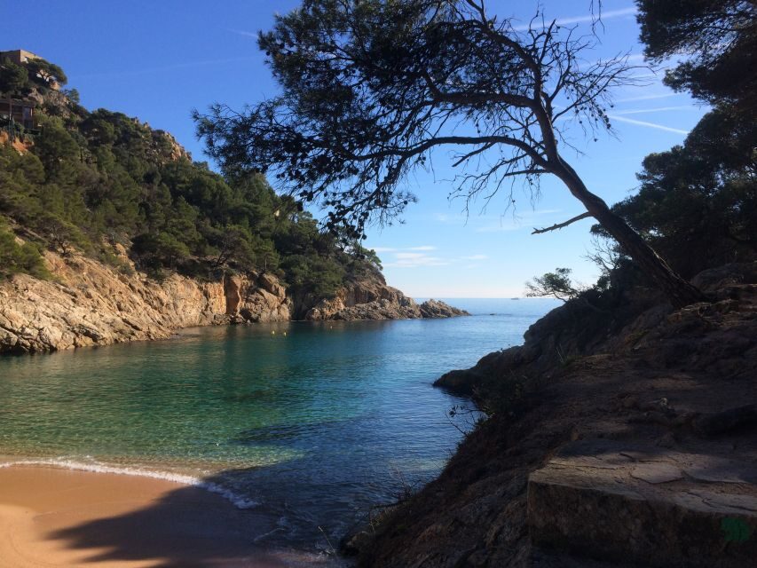 From Barcelona: Costa Brava Hike, Snorkel & Tossa de Mar - The guide factor: why English explanations change the experience