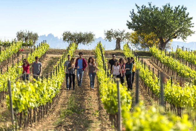 From Barcelona: El Penedès Hike & Wines - Key things to know before you go