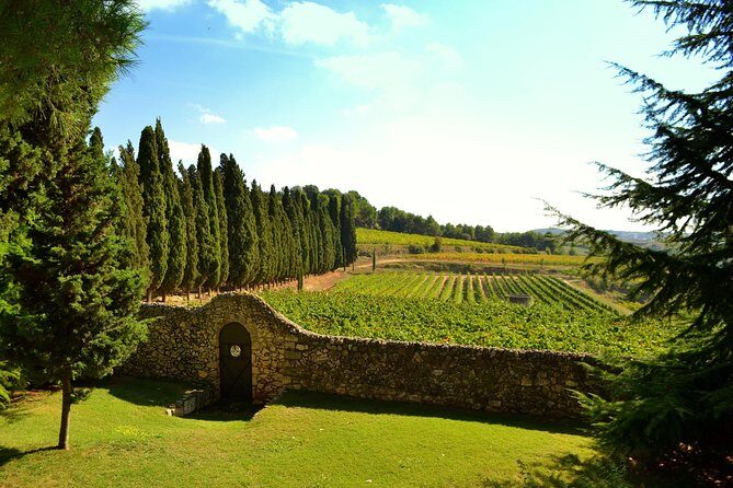 From Barcelona: El Penedès Hike & Wines - Escaping Barcelona at 9:00 with a private minivan