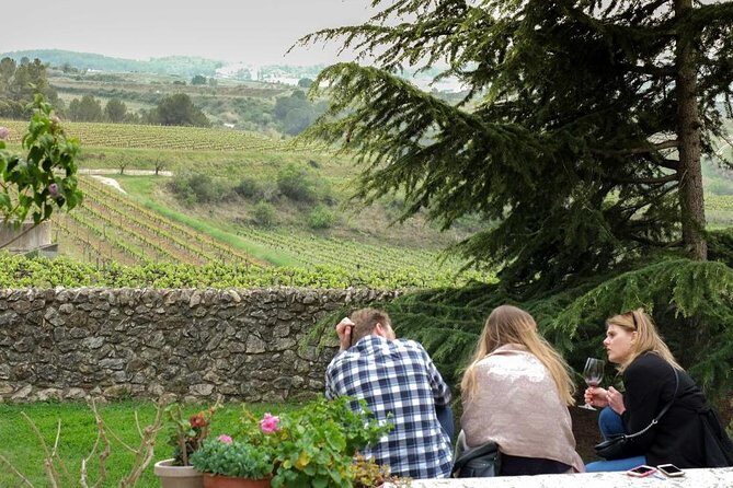 From Barcelona: El Penedès Hike & Wines - Albet i Noya organic winery: cellar tour plus three tastings