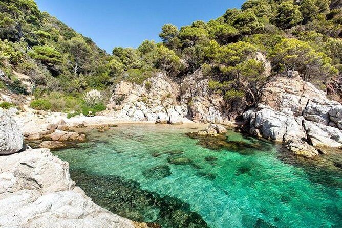 From Barcelona : Girona and Costa Brava Small Group Tour - Xuixo pastry and the quick Catalan mood shift