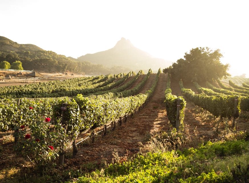 From Barcelona: Half-Day Trip to Montserrat Mountain - Who this Montserrat tour suits best