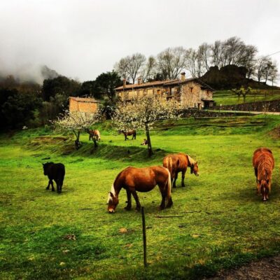 From Barcelona: Medieval Villages and Volcanic Hiking Tour - Castellfollit de la Roca: the cliffside town feeling unreal