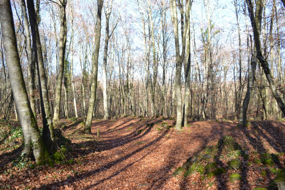 From Barcelona: Medieval Villages and Volcanic Hiking Tour - The lava-flow hike: moderate effort, big “why” payoff