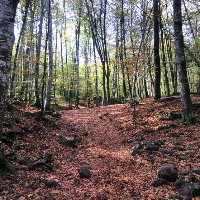 From Barcelona: Medieval Villages and Volcanic Hiking Tour - Price and value: is $147 a fair deal?