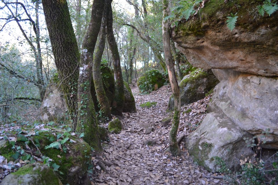 From Barcelona: Medieval Villages and Volcanic Hiking Tour - Who should book this tour (and who should skip it)