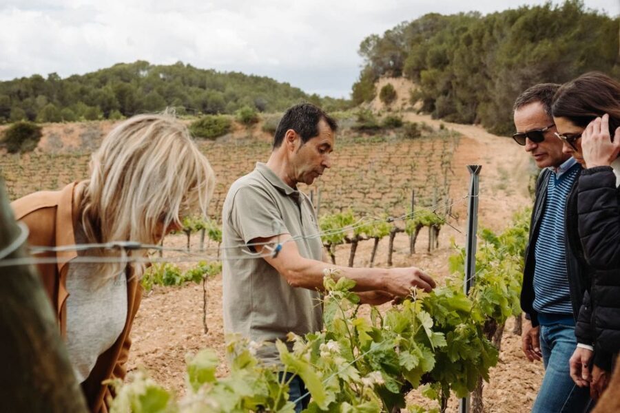 From Barcelona: Montserrat & Cava Winery Day Trip - Catalonia on the move: what the guide adds during the drive
