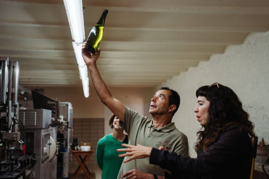 From Barcelona: Montserrat & Cava Winery Day Trip - Penedès family-run cava winery: how the process becomes real