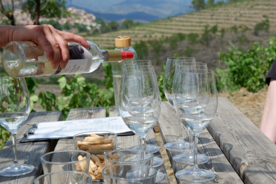 From Barcelona: Priorat's Exclusive Cellars, Wines & Nature - Key highlights you’ll care about