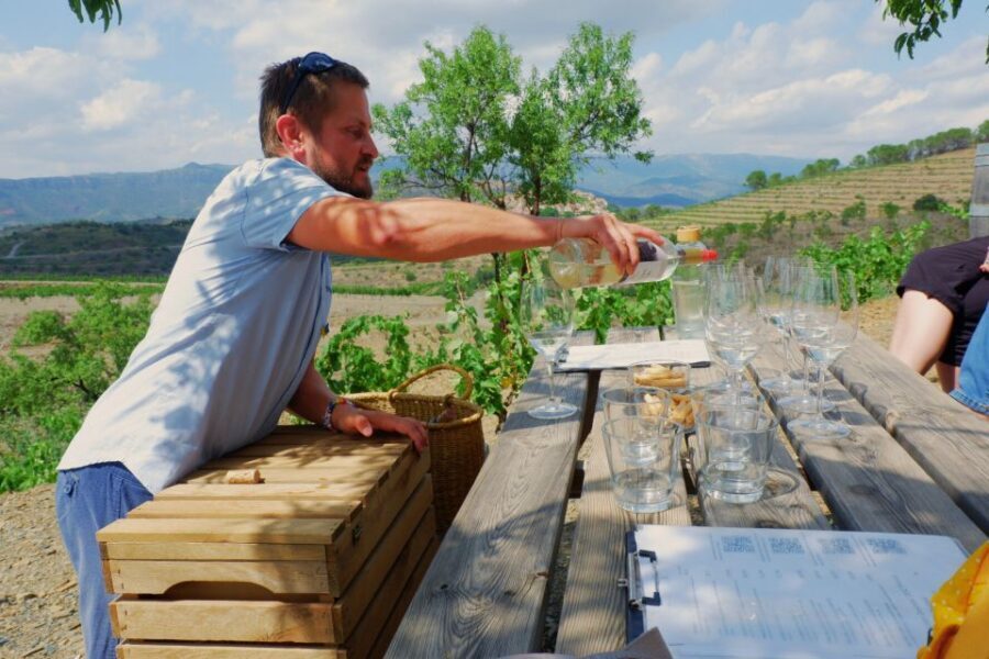 From Barcelona: Priorat's Exclusive Cellars, Wines & Nature - Priorat From Barcelona: what this 11-hour wine day really delivers