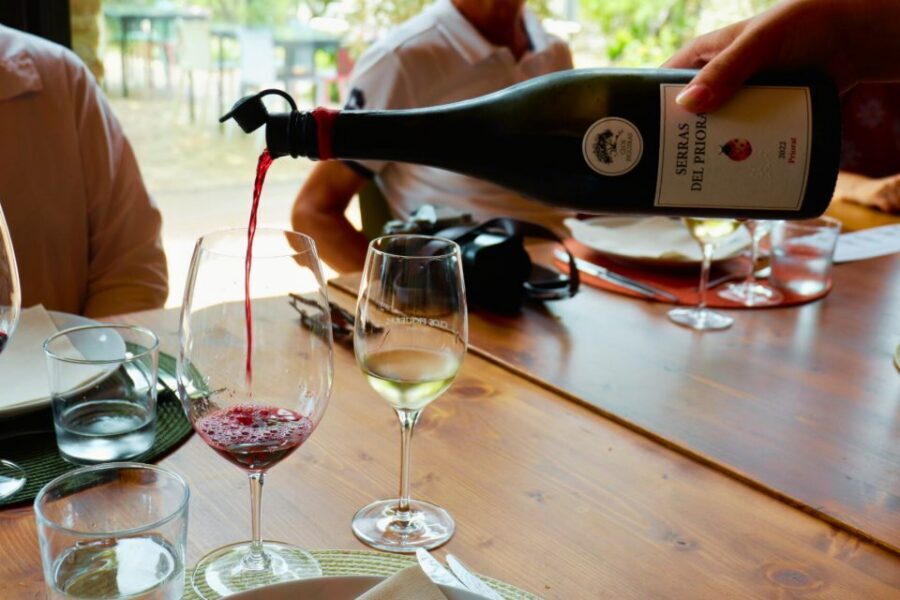From Barcelona: Priorat's Exclusive Cellars, Wines & Nature - The drive south: using the van time without losing the day