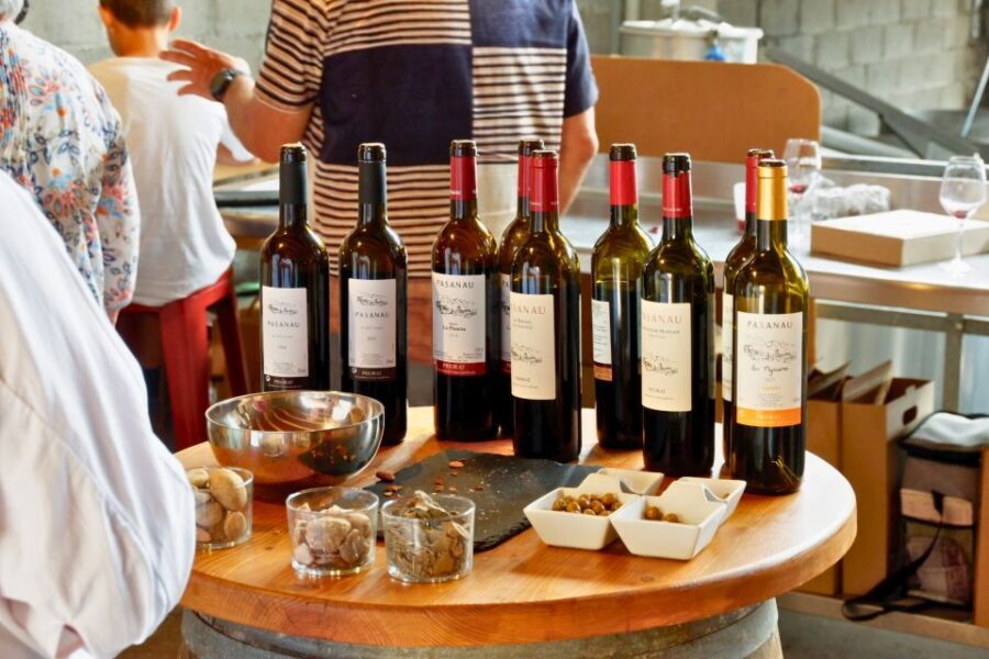 From Barcelona: Priorat's Exclusive Cellars, Wines & Nature - Second tasting stop: shorter time, sharper comparisons