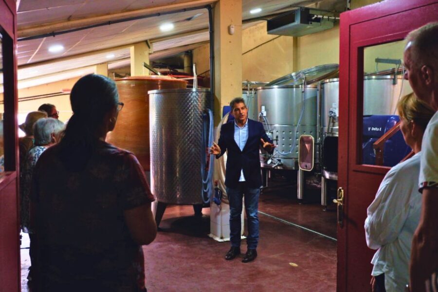 From Barcelona: Priorat's Exclusive Cellars, Wines & Nature - Why Priorat reds taste so consistent: the slate-and-minerals story