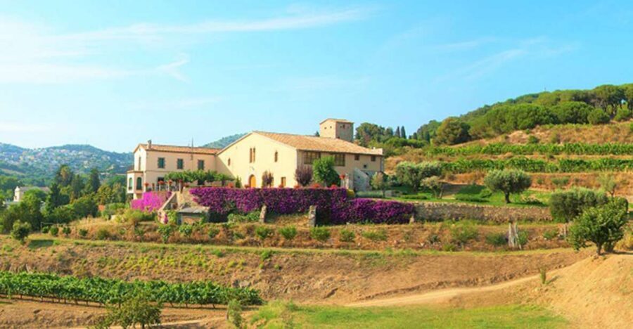 From Barcelona: Private Alella Wine Tour by Electric Bike - Key points before you go