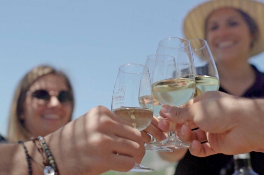 From Barcelona: Private Alella Wine Tour by Electric Bike - The 4-Wine Tasting: How to Get More Out of the Glasses