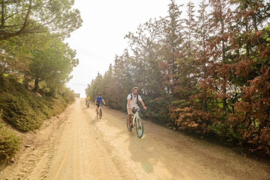 From Barcelona: Private Alella Wine Tour by Electric Bike - The Vineyard Picnic: Bread, Cheese, Fruit, and the Best Pace of the Day