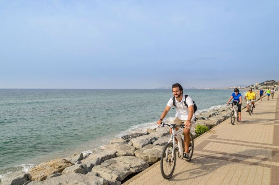 From Barcelona: Private Alella Wine Tour by Electric Bike - Price and Value: Is $294 Worth It?