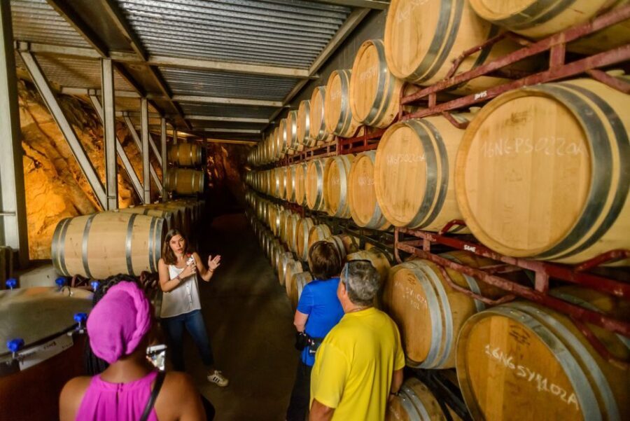 From Barcelona: Private Alella Wine Tour by Electric Bike - Who This Tour Fits Best (and Who Should Skip It)
