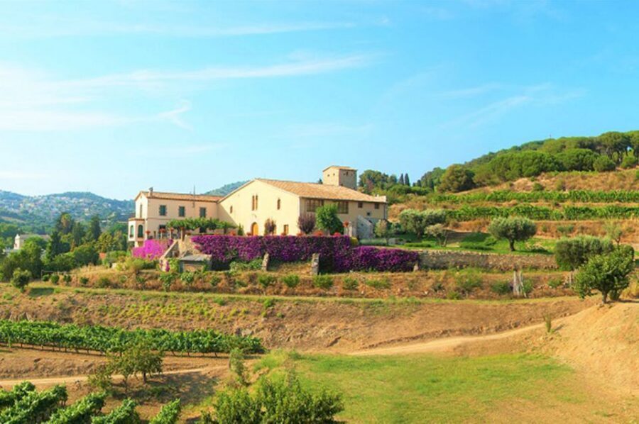 From Barcelona: Private Alella Wine Tour by Electric Bike - Maresme Coast Riding and the Local Beach Break